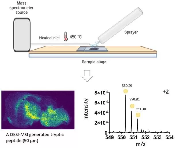 DESI-MSI Workflow Overview DESI-MSI Workflow Overview